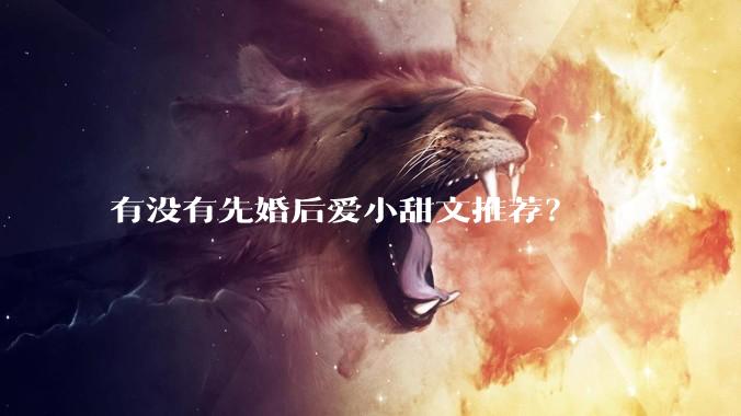 有没有先婚后爱小甜文推荐？