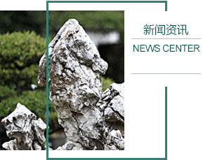 包装用纸